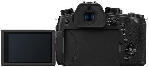 купить Фотоаппарат компактный Panasonic DC-FZ10002EE в Кишинёве 