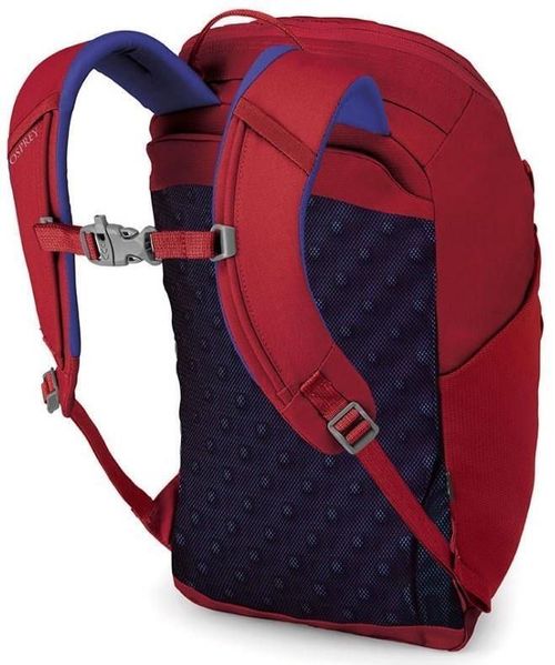 купить Детский рюкзак Osprey Jet 12 II cosmic red в Кишинёве 