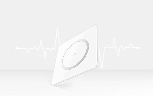 cumpără Cântar de podea Honor Scale 2 în Chișinău 