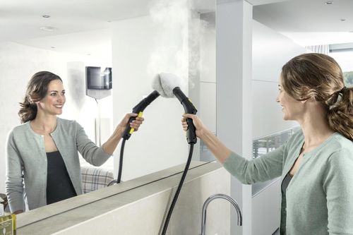 cumpără Purificator de aburi Karcher SC 5 în Chișinău 