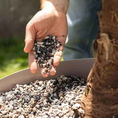 купить Субстрат для растений Lechuza Palmpon, 12l в Кишинёве 