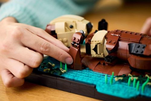 cumpără Set de construcție Lego 21366 Floating Sea Otters în Chișinău 