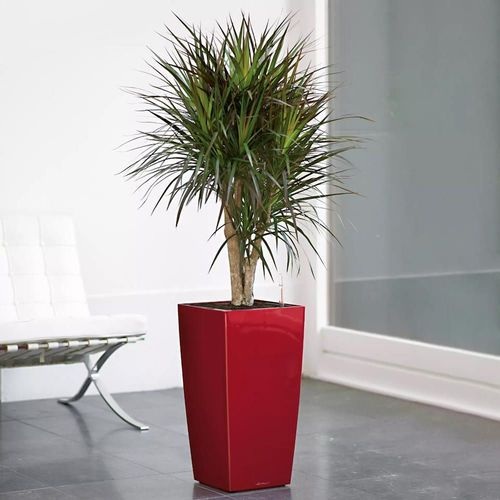 купить Цветочный горшок Lechuza Cubico Premium 30, Scarlet Red в Кишинёве 