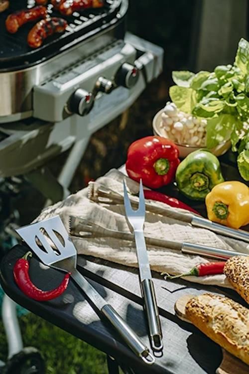 купить Товар для пикника Adler AD 6730 в Кишинёве 