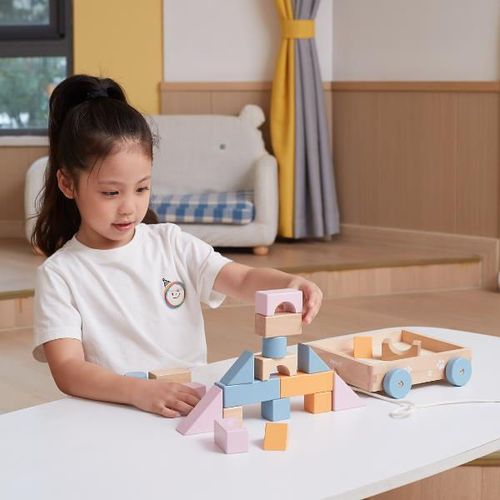 cumpără Puzzle Viga 44096 Jucărie de tras, cu șiret și set de construcție, 20 elem. în Chișinău 