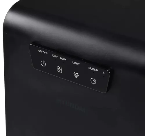 cumpără Dezumidificator de aer Hyundai HDSH002UA în Chișinău 