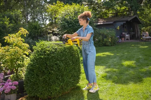 cumpără Foarfece pentru arbuști Karcher 1.445-600.0 HGE 2-18 Battery în Chișinău 