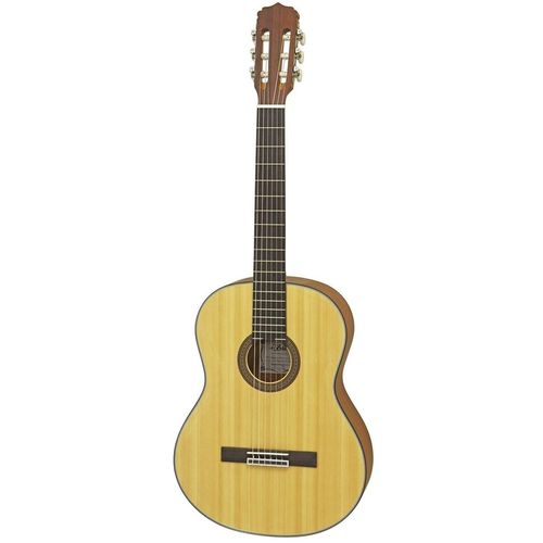 купить Гитара Aria A-10 MTN Chitara Classic в Кишинёве 
