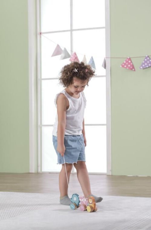 купить Игрушка каталка Viga 44023 Jucărie de tras, cu șiret Animăluțe в Кишинёве 