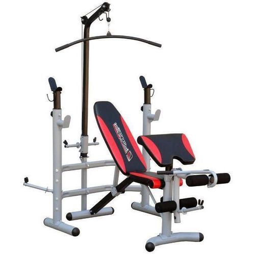 купить Скамья для силовых упражнений inSPORTline 4188 Banca multif. (150 kg) 4069 Bastet в Кишинёве 