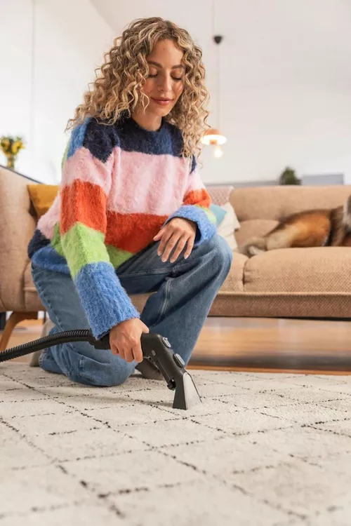купить Пылесос моющий Karcher SE 3 Compact Floor (1.081-533.0) в Кишинёве 