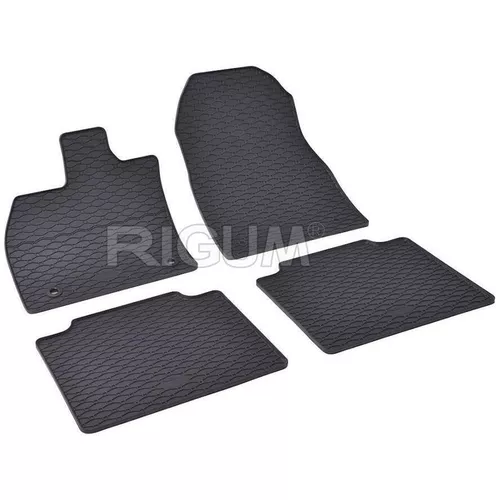 купить Коврик для автомобиля Rigum Toyota bZ4X 22-/ Subaru Solterra 22-/ Lexus RZ 22-/ в Кишинёве 
