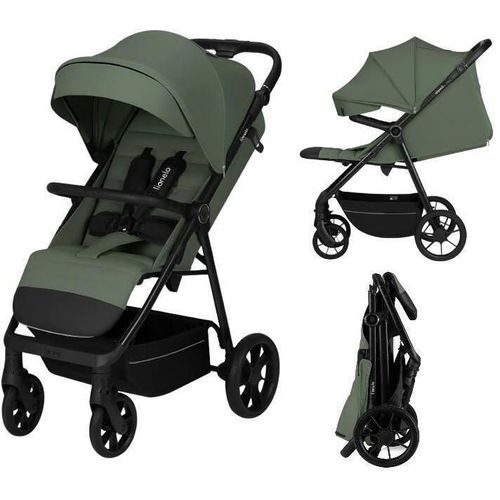 купить Детская коляска Lionelo Iva Green Forest в Кишинёве 