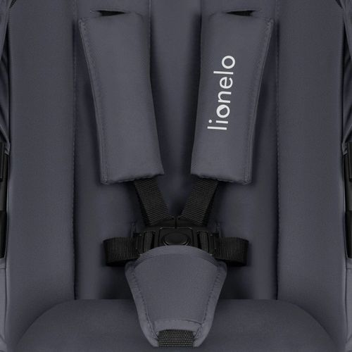 cumpără Сărucior pentru copii Lionelo Carucior 2in1 Amber Plus Grey Graphite în Chișinău 
