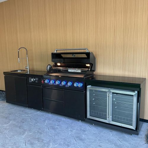 купить Мангал ArtFlame B-ZH601-1-BG pe gaz din otel inoxidabil в Кишинёве 