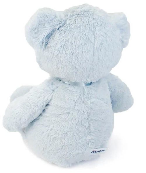 cumpără Jucărie de pluș Baby Gund 6048628 My 1st Teddy Blue 45cm în Chișinău 