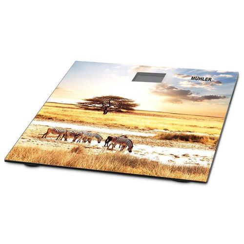 cumpără Cântar de podea Muhler MSC-3077 Savannah în Chișinău 