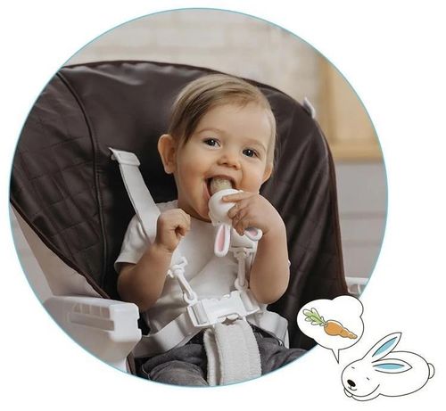 cumpără Seturi pentru hrănire bebelușilor Roxy Kids RFN-006 Ниблер Bunny Twist с поворотным механизмом, розовый în Chișinău 
