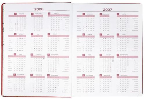 купить Блокнот IDEE Agenda saptamanala A4 2026 Standart Cherry Red (ID.1607) в Кишинёве 