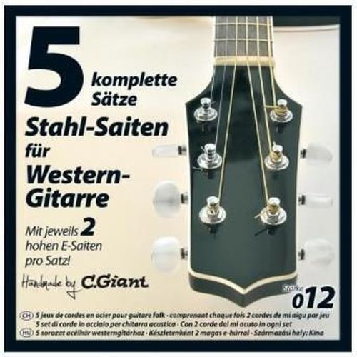 купить Струна для музыкального инструмента Clifton Golden Ton Acoustic String Set в Кишинёве 