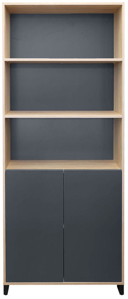 cumpără Dulap de birou Deco Combi 2 usi 900x340x2100h în Chișinău 