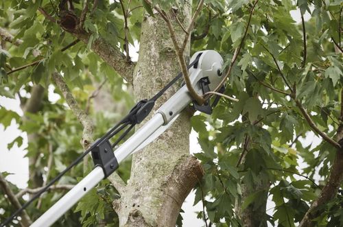 cumpără Foarfecă de gradină Milwaukee 4932498626 Fierastrau si foarfeca p/u tăiat crengi la inaltime în Chișinău 