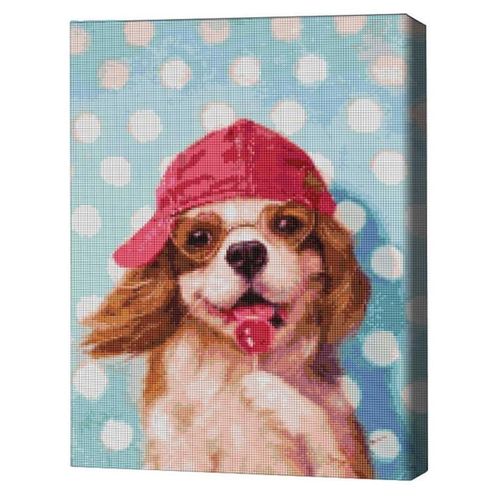 купить Картина по номерам BrushMe DBS1229FC Mozaic cu diamante 40x50сm (fără cutie) Cățeluș cu acadea, Lucia Heffernan в Кишинёве 