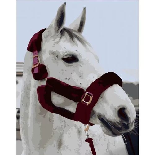 купить Картина по номерам Strateg R 8 /24 (DY382)(47722) Sufletul Prerilor, 40x50 cm в Кишинёве 