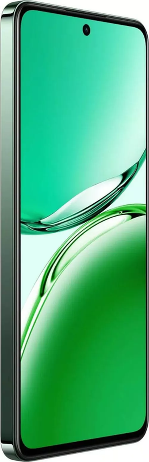 купить Смартфон OPPO Reno 12 FS 5G 12/512GB Black Green в Кишинёве 
