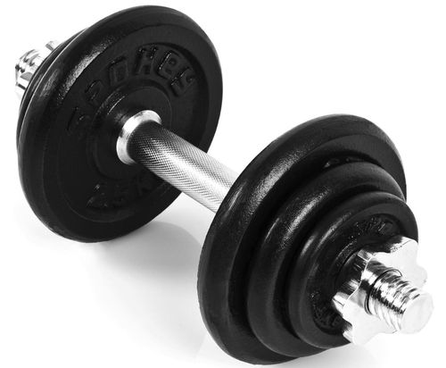 купить Гантель Spokey 84231 2X10кг EGIR в Кишинёве 