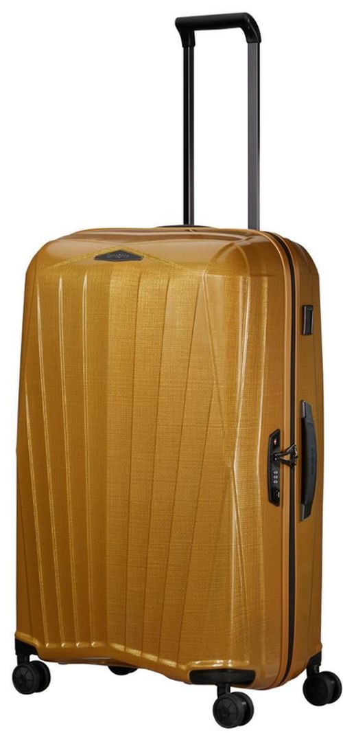 купить Чемодан Samsonite MAJOR-LITE (147120/2048) в Кишинёве 