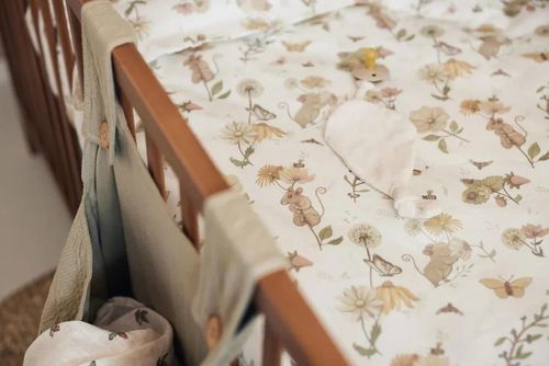 cumpără Lenjerie de pat pentru copii Jollein 003-005-67056 Set Huse de plapuma si perna Dreamy Mouse, 100x140 cm în Chișinău 