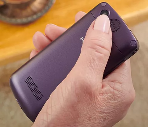 cumpără Telefon mobil Panasonic KX-TU110EXB în Chișinău 