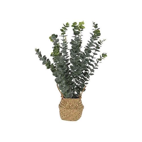 купить Искусственное растение Promstore 49444 Искусственное растение эвкалипт в горшке, 50 см в Кишинёве 