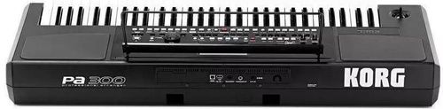 купить Цифровое пианино Korg PA 300 в Кишинёве 