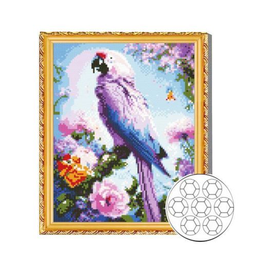 cumpără Tablou pe numere Art Gallery GB87169 Mozaic cu diamante 30x40cm Papagal colorat în Chișinău 