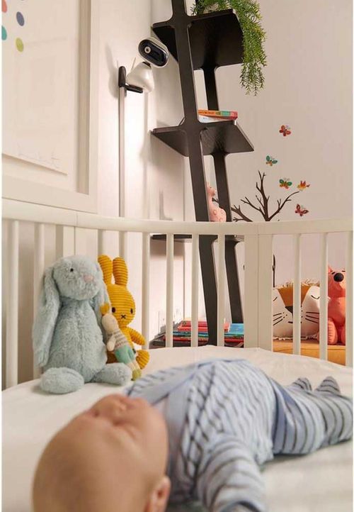 купить Видеоняня Motorola PIP1500 (Baby monitor) в Кишинёве 