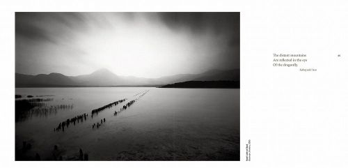 cumpără Forms of Japan - Michael Kenna în Chișinău 