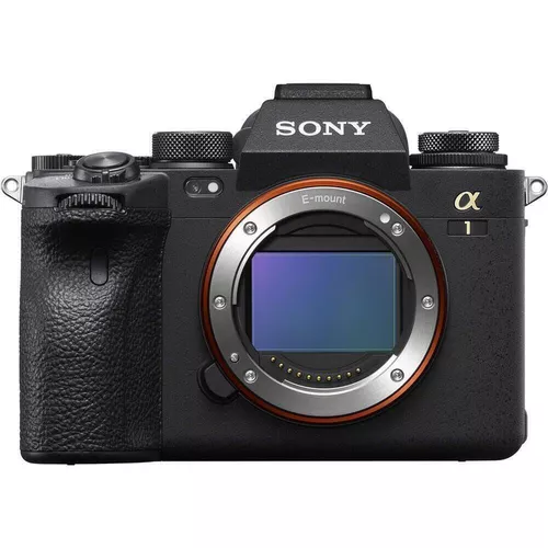 cumpără Aparat foto mirrorless Sony ILCE1B în Chișinău 