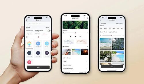 cumpără Lampă de veghe Momcozy WN010-WG12BA-A Lampa de veghe cu sunete Rainbow Grey în Chișinău 