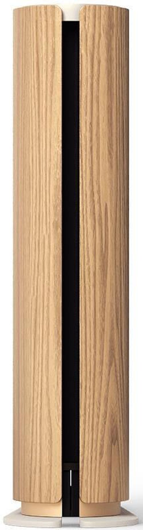 купить Колонка портативная Bluetooth Bang & Olufsen Beosound Emerge Gold Tone Alu/Light Oak в Кишинёве 
