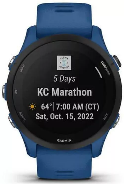 купить Смарт часы Garmin Forerunner 255 (010-02641-11) в Кишинёве 