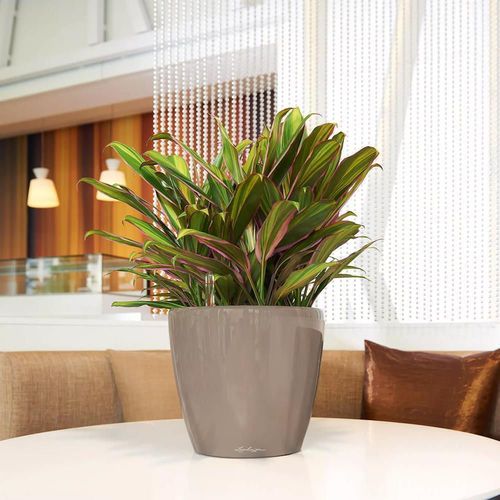 купить Цветочный горшок Lechuza Classico Premium 35 LS, Shiny Taupe в Кишинёве 