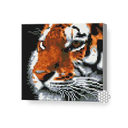 купить Картина по номерам Art Gallery BJ1195 Mozaic cu diamante 20x20cm Tigru в Кишинёве 