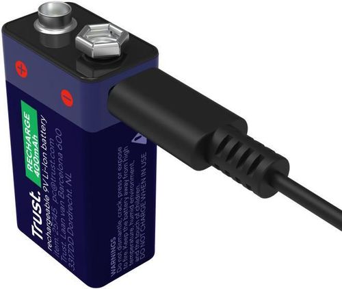 cumpără Acumulator Trust TR25745 USB-C Rechargeable Battery 9V Li-Ion, 400mAh, 6LR61 în Chișinău 