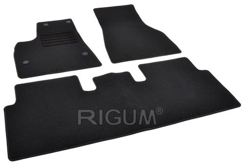 купить Коврик для автомобиля Rigum Tesla Model S 2012- -/ в Кишинёве 