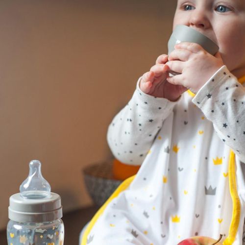 купить Поильник Beaba B911653 Biberon din sticla cu gat larg Crown 240ml в Кишинёве 