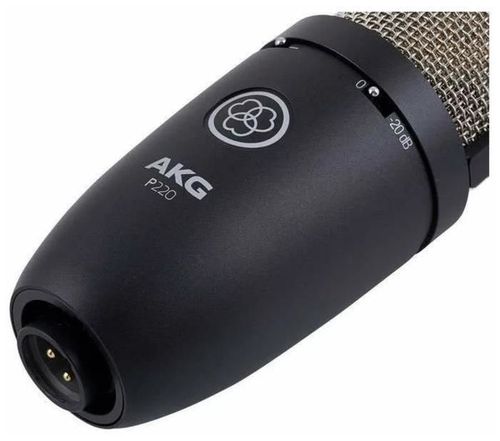 купить Микрофон AKG P220 в Кишинёве 