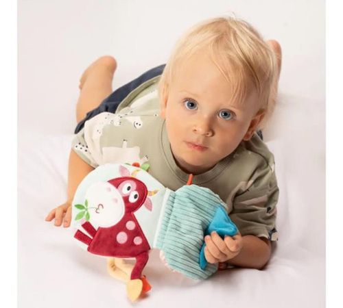 cumpără Jucărie de pluș Akuku 6955 Игрушка плюш-книжка Elephant A0672 în Chișinău 