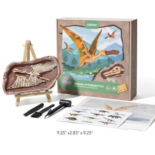 купить Игрушка Mideer MD0176 Setul micului arheolog Revelarea Pterosaurului в Кишинёве 